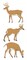 Jolee&#x27;s By You Dimensional Stickers-Deer